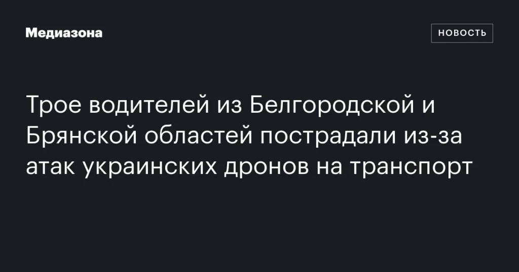 Трое водителей из Белгородской и Брянской областей пострадали в результате атак украинских дронов на транспорт Трое водителей из Белгородской и Брянской областей пострадали в результате атак украинских дронов на транспорт