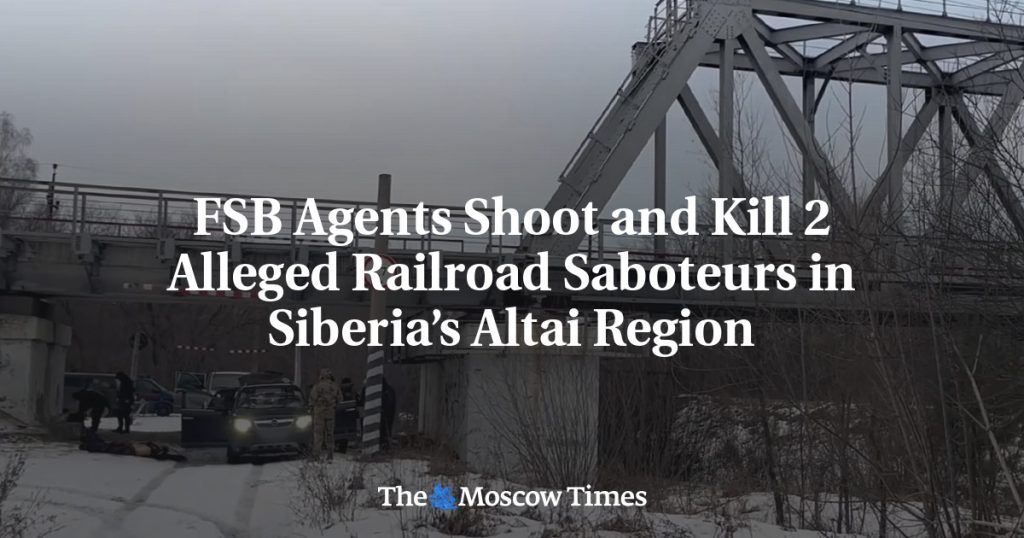 Агенты ФСБ застрелили двух предполагаемых диверсантов на железной дороге в Алтайском крае