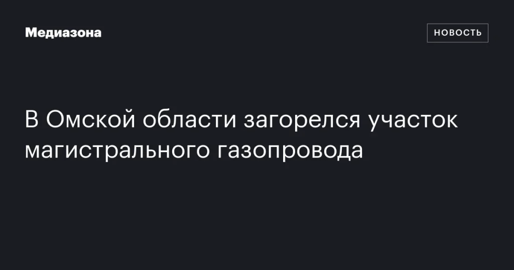 В Омской области произошел пожар на магистральном газопроводе