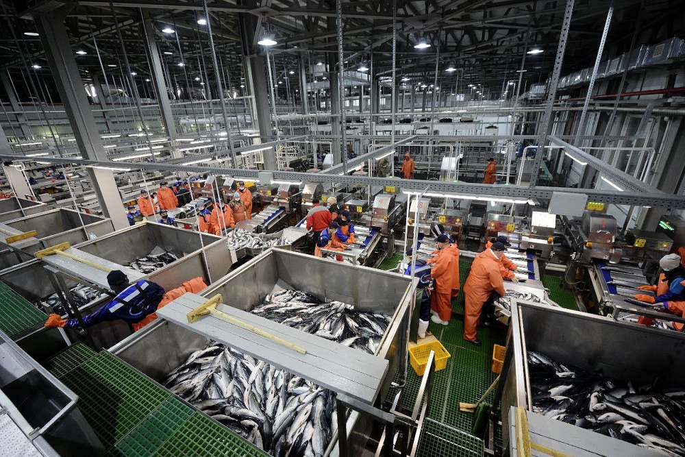 Что даст бизнесу создание в макрорегионе единого преференциального режима Что даст бизнесу создание в макрорегионе единого преференциального режима