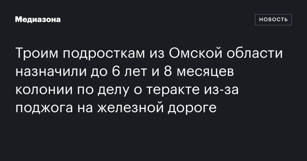 Трое подростков из Омской области получили до 6 лет и 8 месяцев колонии за поджог на железной дороге по делу о теракте