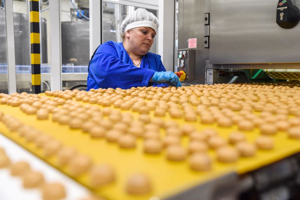 Росимущество продает заводы двух иностранных компаний в ЦФО Росимущество продает заводы двух иностранных компаний в ЦФО