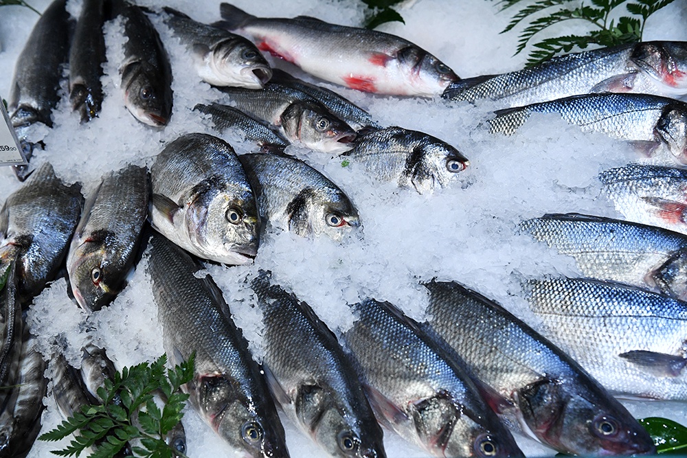 “Берегитесь зеленоватых пятен”: В Роспотребнадзоре напомнили, на что обратить внимание при выборе рыбы “Берегитесь зеленоватых пятен”: В Роспотребнадзоре напомнили, на что обратить внимание при выборе рыбы