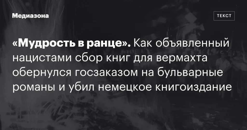 Как нацистский сбор книг трансформировался в госзаказ на бульварные романы и навредил немецкому книгоизданию