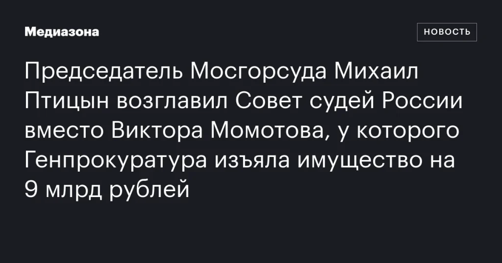 Михаил Птицын стал председателем Совета судей России, сменив Виктора Момотова с изъятым имуществом на 9 млрд рублей
