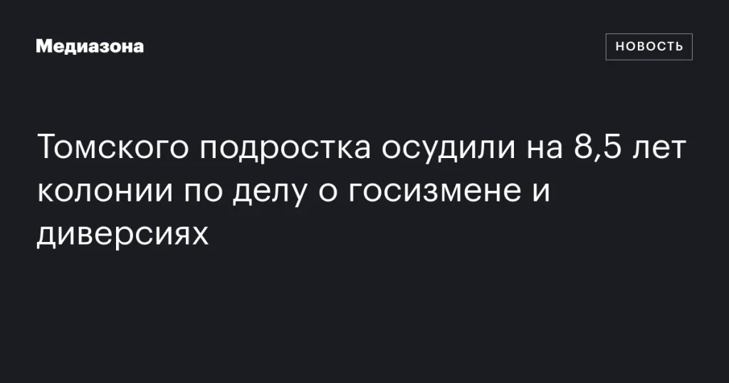 Томскому подростку назначили 8,5 лет колонии за госизмену и диверсии