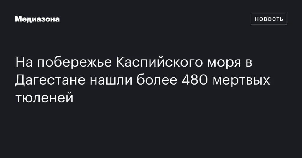 На побережье Каспия в Дагестане обнаружили свыше 480 мертвых тюленей