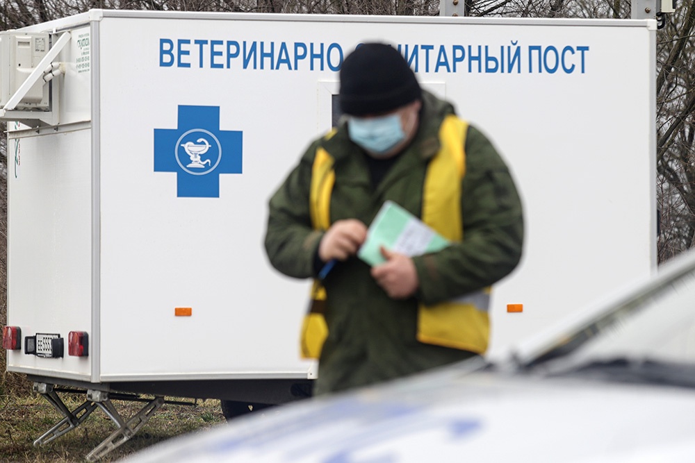 Из-за подозрения на птичий грипп ушла на карантин птицефабрика под Ярославлем Из-за подозрения на птичий грипп ушла на карантин птицефабрика под Ярославлем