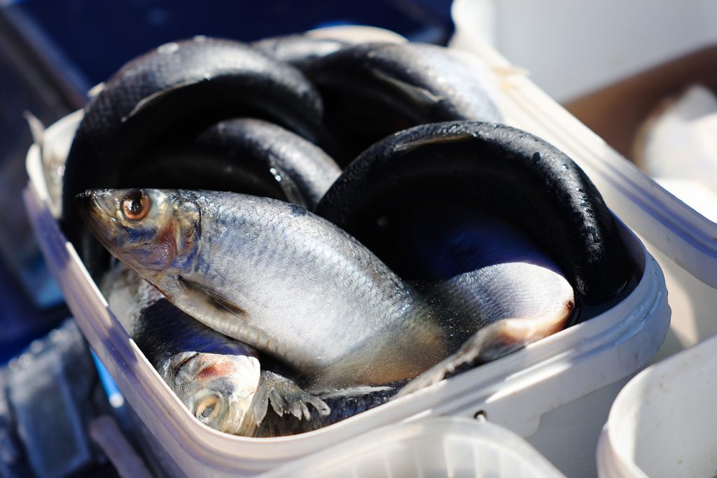 Названа самая любимая у россиян рыба