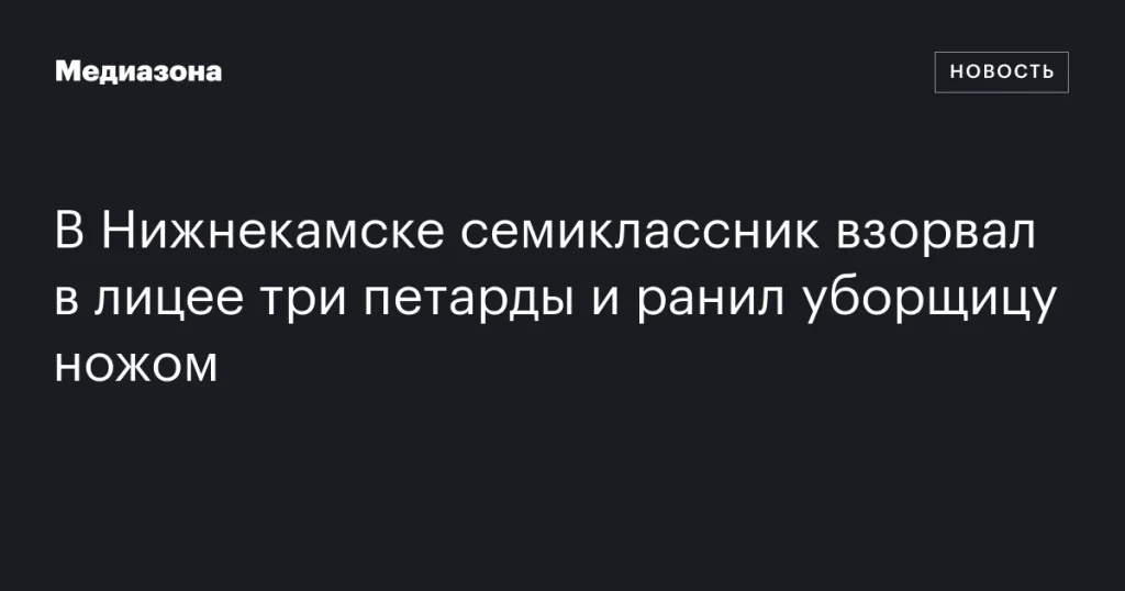 В Нижнекамске школьник взорвал петарды в лицее и напал на уборщицу с ножом