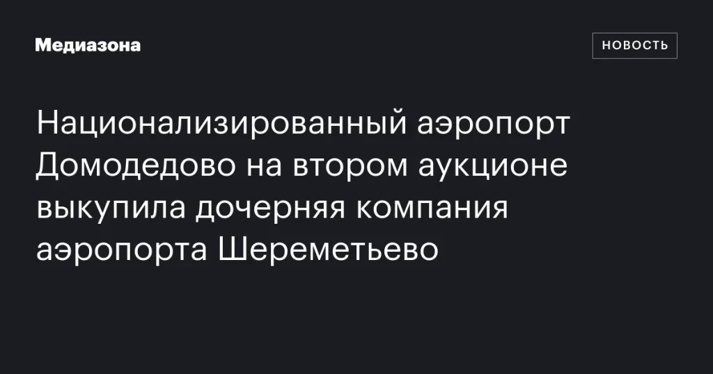 Дочерняя компания аэропорта Шереметьево выкупила национализированный аэропорт Домодедово на втором аукционе