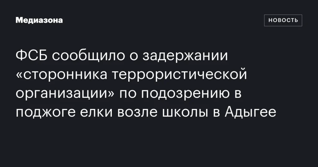ФСБ задержала подозреваемого в поджоге елки у школы в Адыгее, связанного с террористической организацией