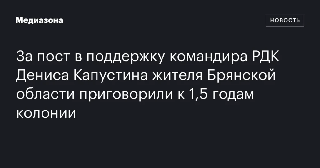 Житель Брянской области получил 1,5 года колонии за поддержку командира РДК Дениса Капустина