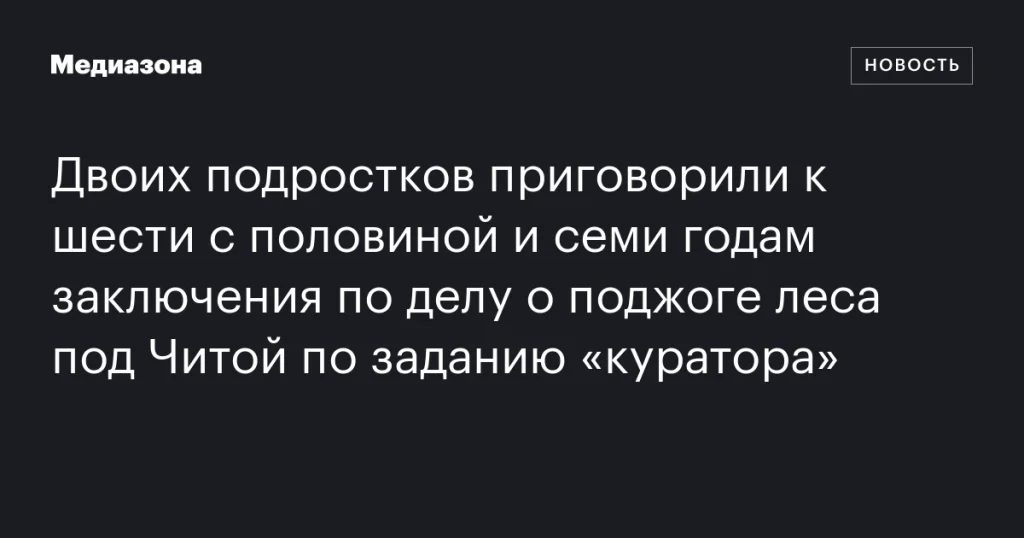 Двое подростков получили сроки за поджог леса под Читой по указанию «куратора»