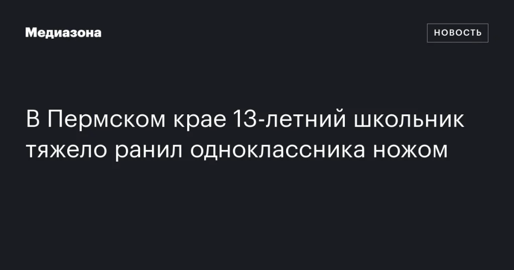 В Пермском крае 13-летний ученик серьезно ранил одноклассника ножом