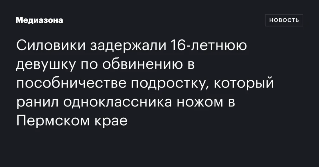 В Пермском крае задержали 16-летнюю девушку по обвинению в помощи подростку, ранившему одноклассника ножом