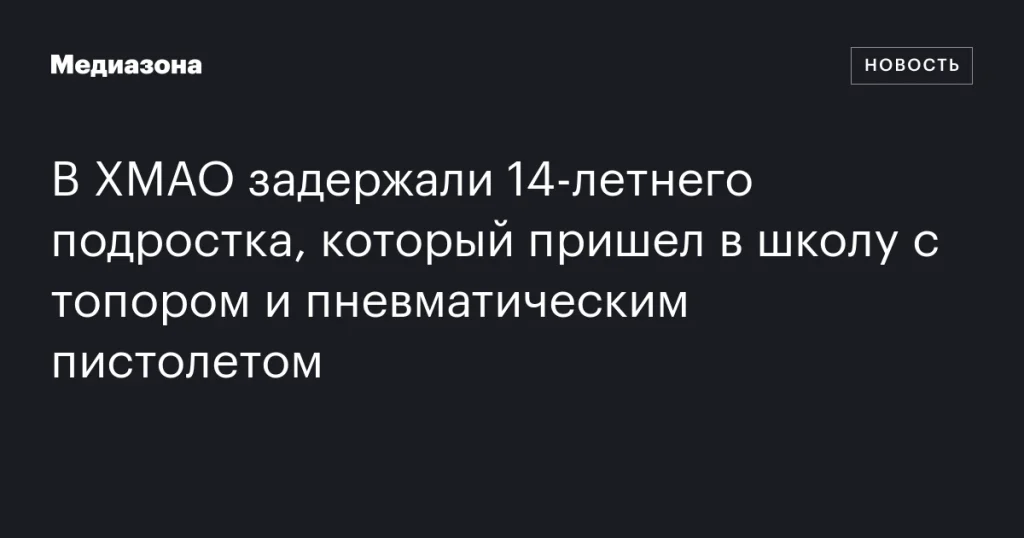 В ХМАО задержан 14-летний школьник с топором и пневматическим пистолетом