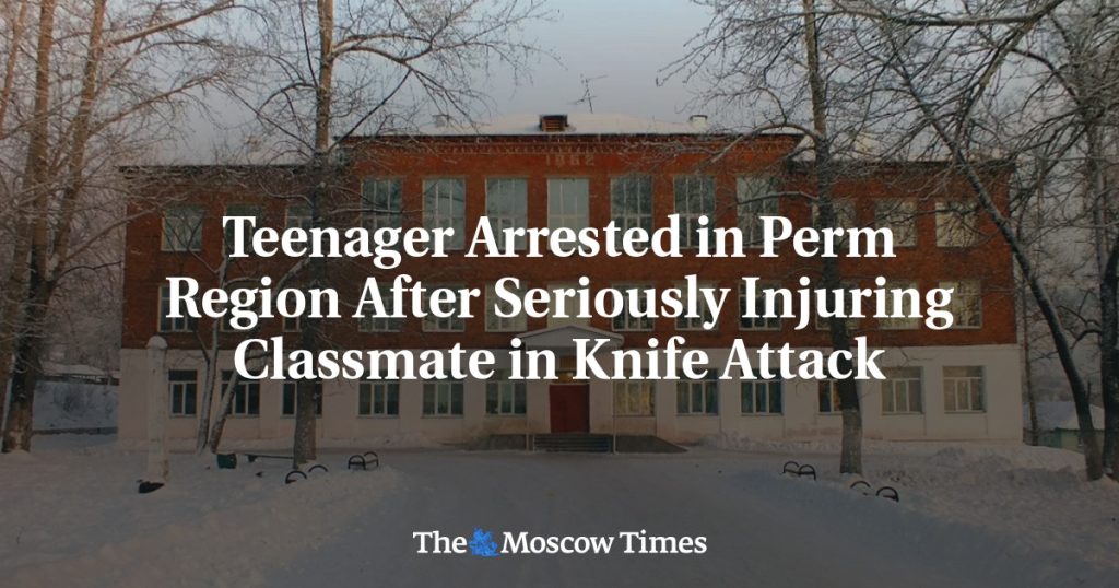 В Пермском крае арестован подросток после серьезного ранения одноклассника в результате нападения с ножом