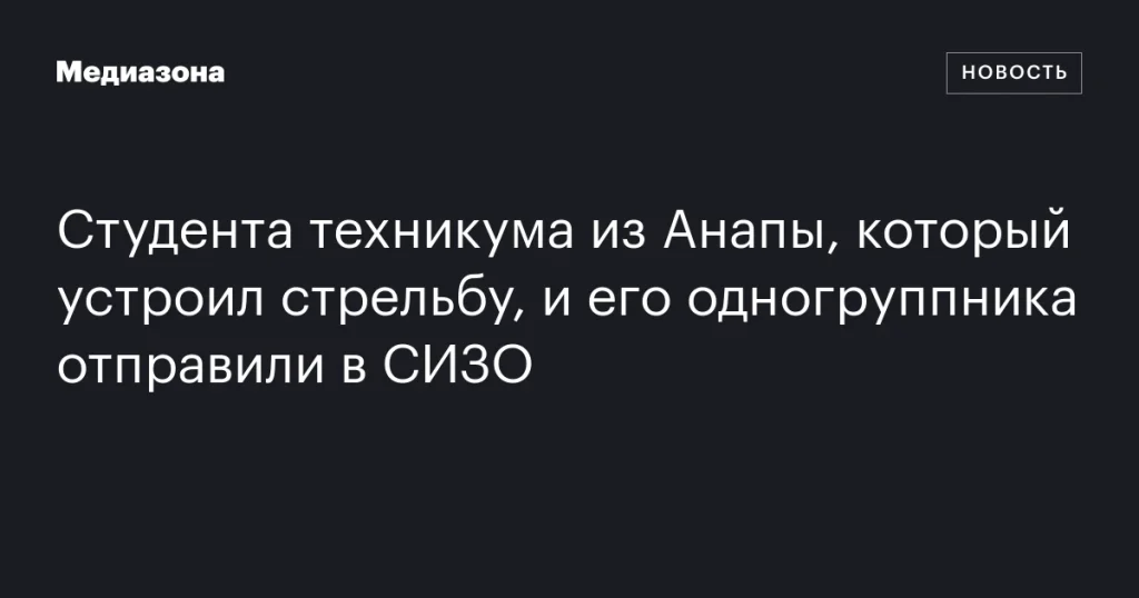 Студента из Анапы, устроившего стрельбу, и его одногруппника арестовали