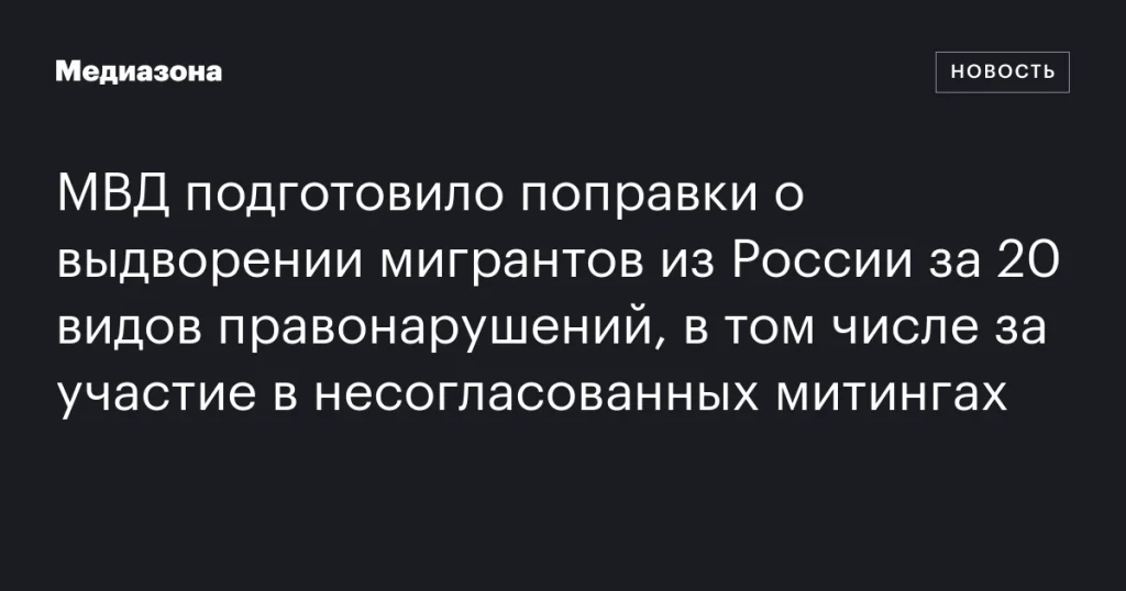 МВД предложило выдворять мигрантов из России за 20 правонарушений, включая участие в несанкционированных митингах
