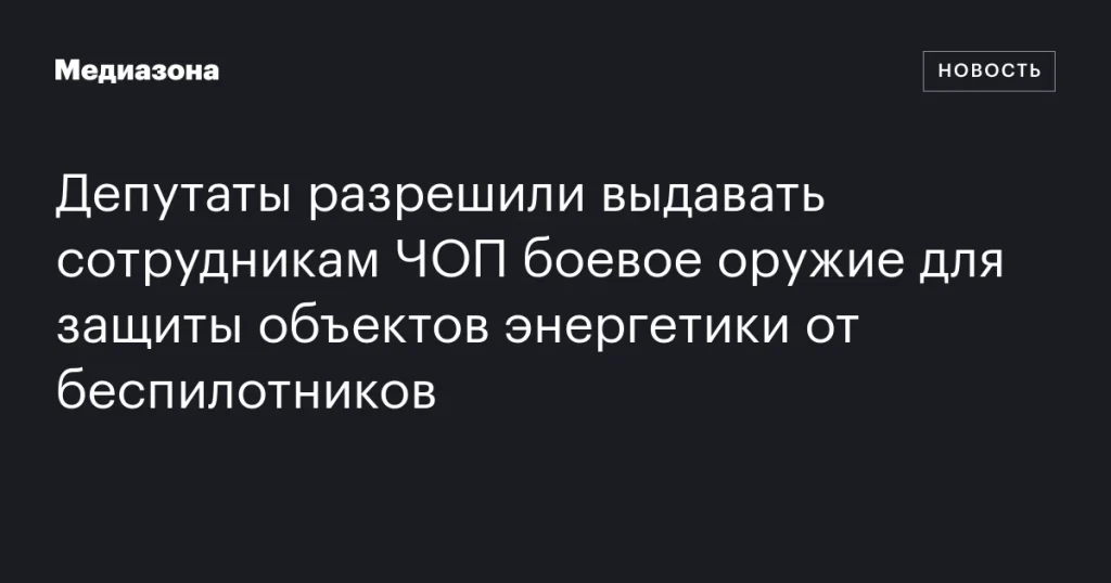 ЧОП разрешили использовать боевое оружие для защиты энергобъектов от беспилотников ЧОП разрешили использовать боевое оружие для защиты энергобъектов от беспилотников