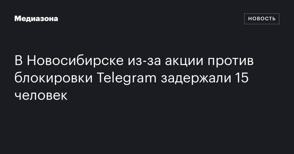 В Новосибирске задержали 15 человек на акции против блокировки Telegram