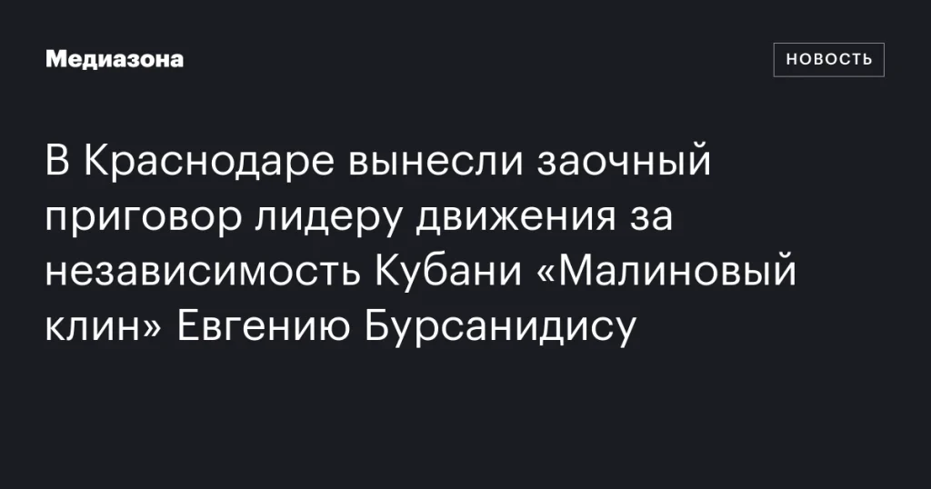 В Краснодаре заочно осудили лидера движения «Малиновый клин» Евгения Бурсанидиса