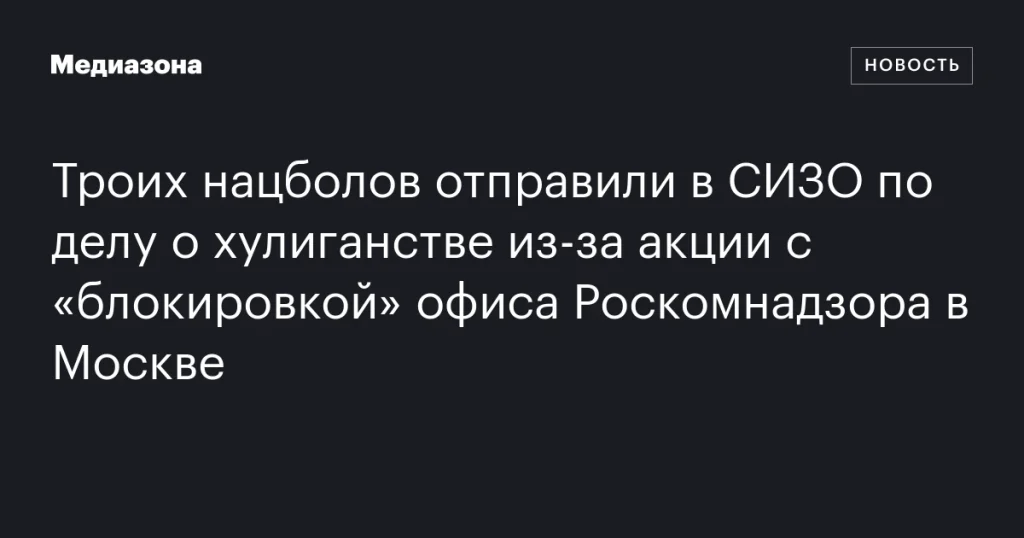 Трое нацболов арестованы по делу о хулиганстве после акции у офиса Роскомнадзора в Москве