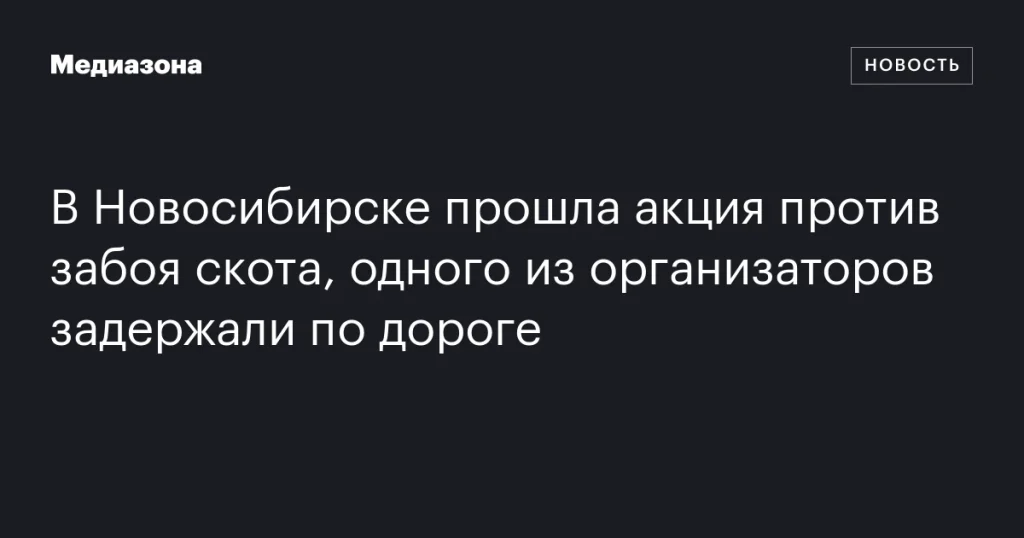 В Новосибирске состоялась акция против забоя скота, организатора задержали в пути