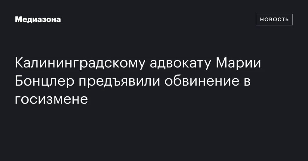 Калининградская адвокат Мария Бонцлер обвинена в государственной измене