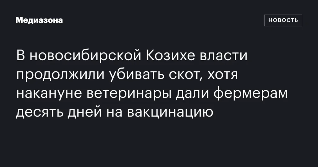 Власти продолжают убивать скот в Козихе, несмотря на предоставленные фермерам десять дней на вакцинацию
