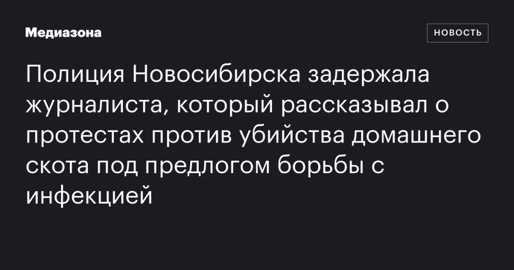 В Новосибирске полиция задержала журналиста, освещавшего протесты против массового уничтожения домашнего скота из-за инфекций