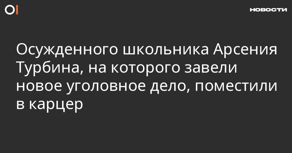 Осужденного школьника Арсения Турбина, против которого возбудили новое уголовное дело, отправили в карцер Осужденного школьника Арсения Турбина, против которого возбудили новое уголовное дело, отправили в карцер