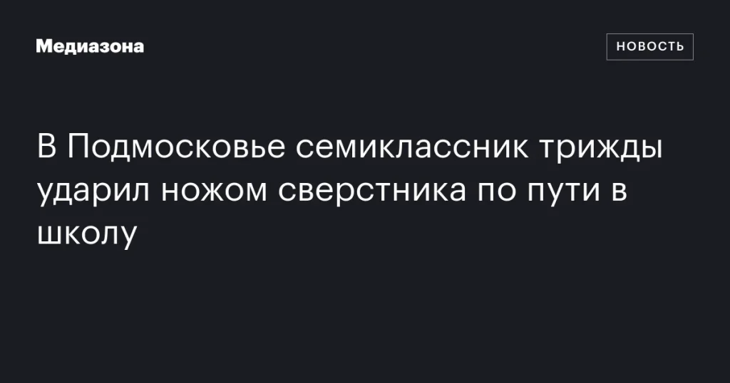 В Подмосковье ученик седьмого класса нанес три ножевых ранения однокласснику по дороге в школу В Подмосковье ученик седьмого класса нанес три ножевых ранения однокласснику по дороге в школу