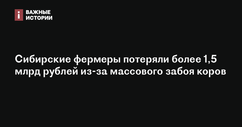 Сибирские фермеры понесли убытки свыше 1,5 млрд рублей из-за массового забоя коров