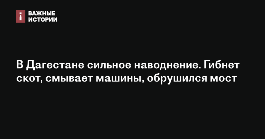 Сильное наводнение в Дагестане: гибель скота, смытые машины и обрушившийся мост Сильное наводнение в Дагестане: гибель скота, смытые машины и обрушившийся мост