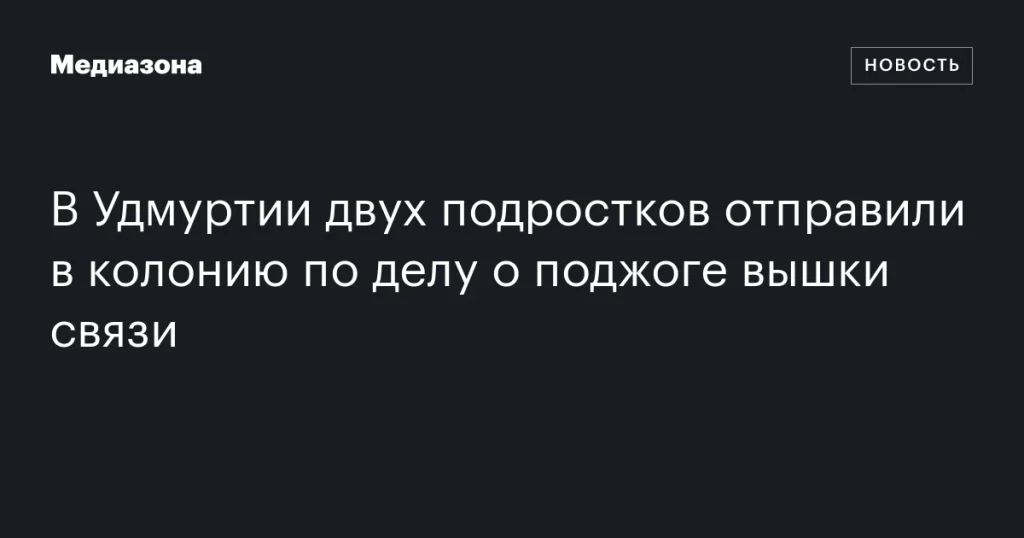 В Удмуртии двух подростков осудили за поджог вышки связи