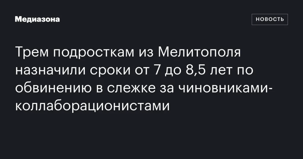 Трем подросткам из Мелитополя дали от 7 до 8,5 лет за слежку за чиновниками‑коллаборационистами