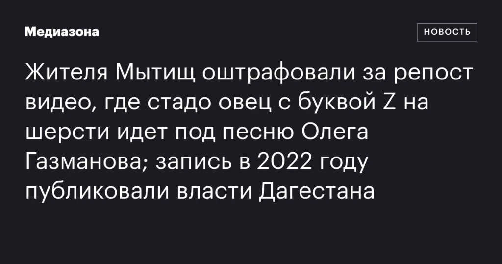 Житель Мытищ получил штраф за репост видео с овцами, несущими букву Z под песню Газманова, опубликованного властями Дагестана в 2022 году