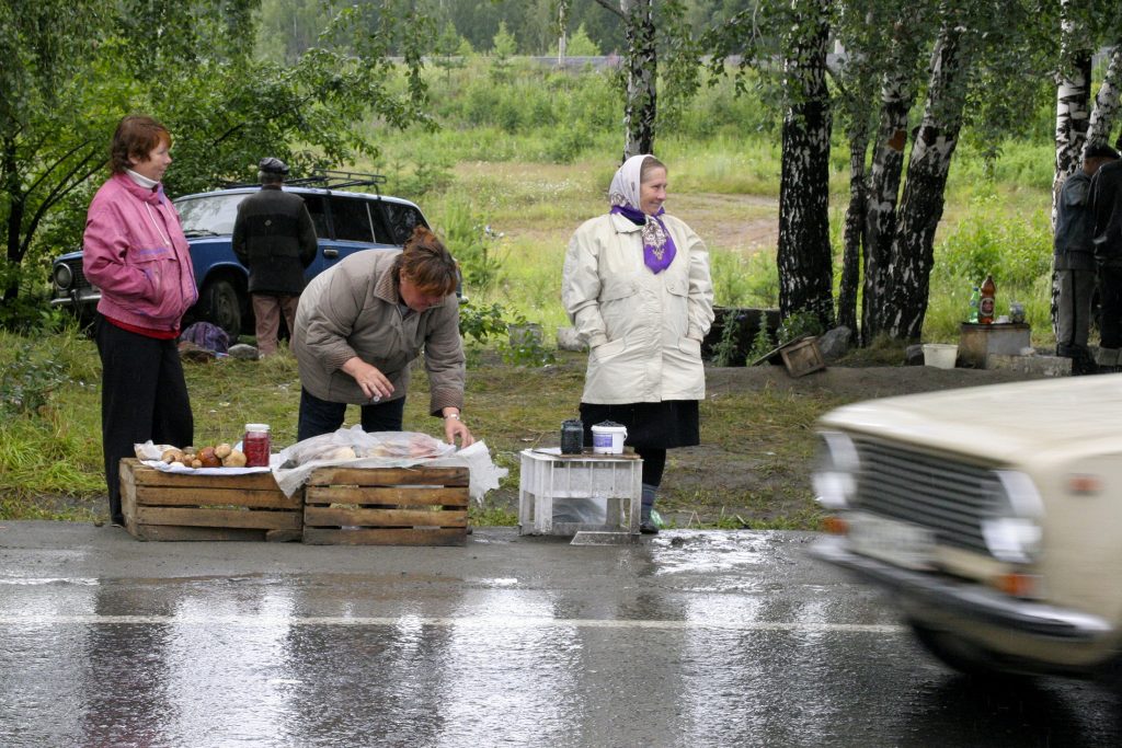 В одном из регионов РФ с осени будут штрафовать за сбор краснокнижных грибов