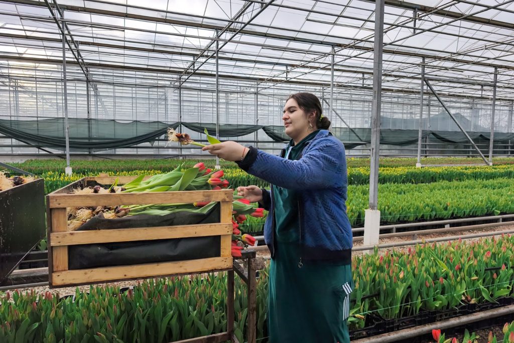 Мартовский срез: как развивается цветочный бизнес в Центральной России