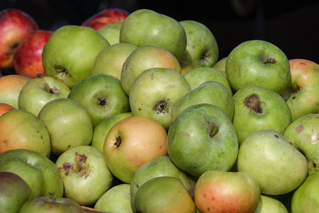 Почему яблоко на Чукотке стоит 300 рублей за штуку. Разбор "РГ"