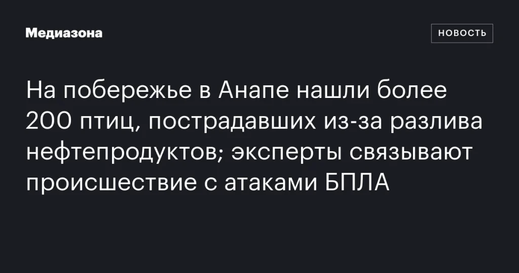 На побережье Анапы обнаружено более 200 пострадавших птиц из-за разлива нефти; эксперты связывают это с атаками беспилотников На побережье Анапы обнаружено более 200 пострадавших птиц из-за разлива нефти; эксперты связывают это с атаками беспилотников