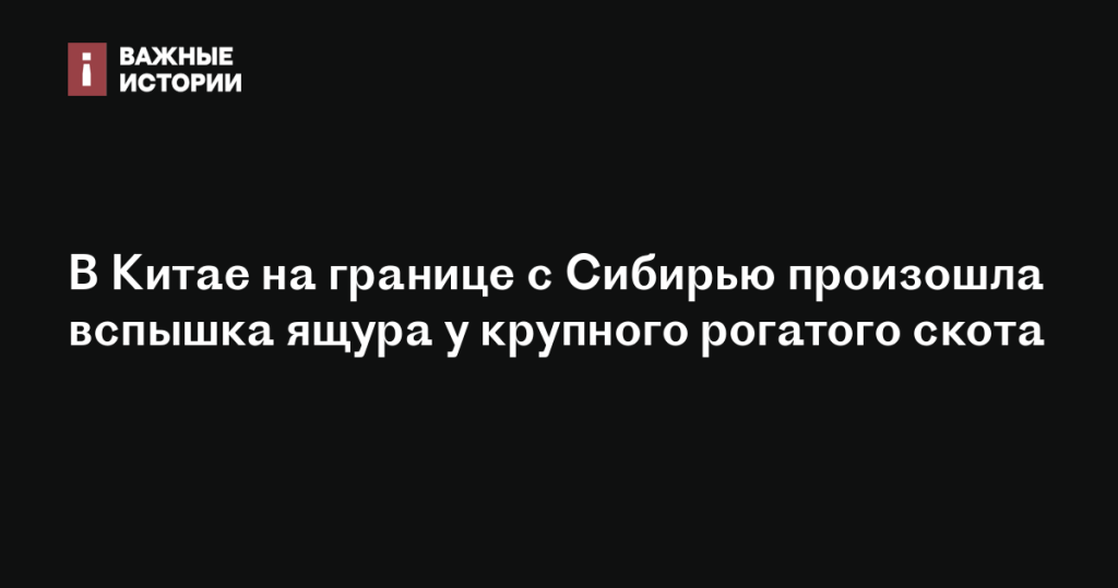 На границе Китая и Сибири зарегистрирована вспышка ящура у скота