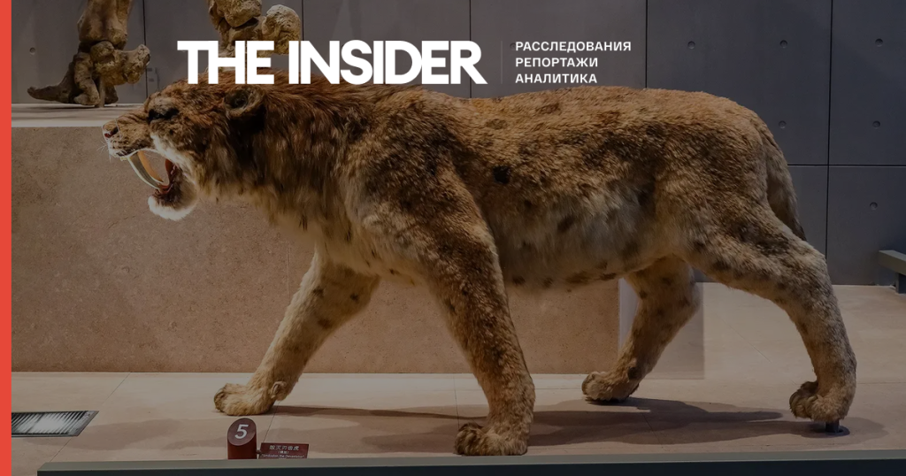 Исследование: как исчезновение саблезубых кошек и гигантских ленивцев продолжает влиять на южноамериканские пищевые цепочки