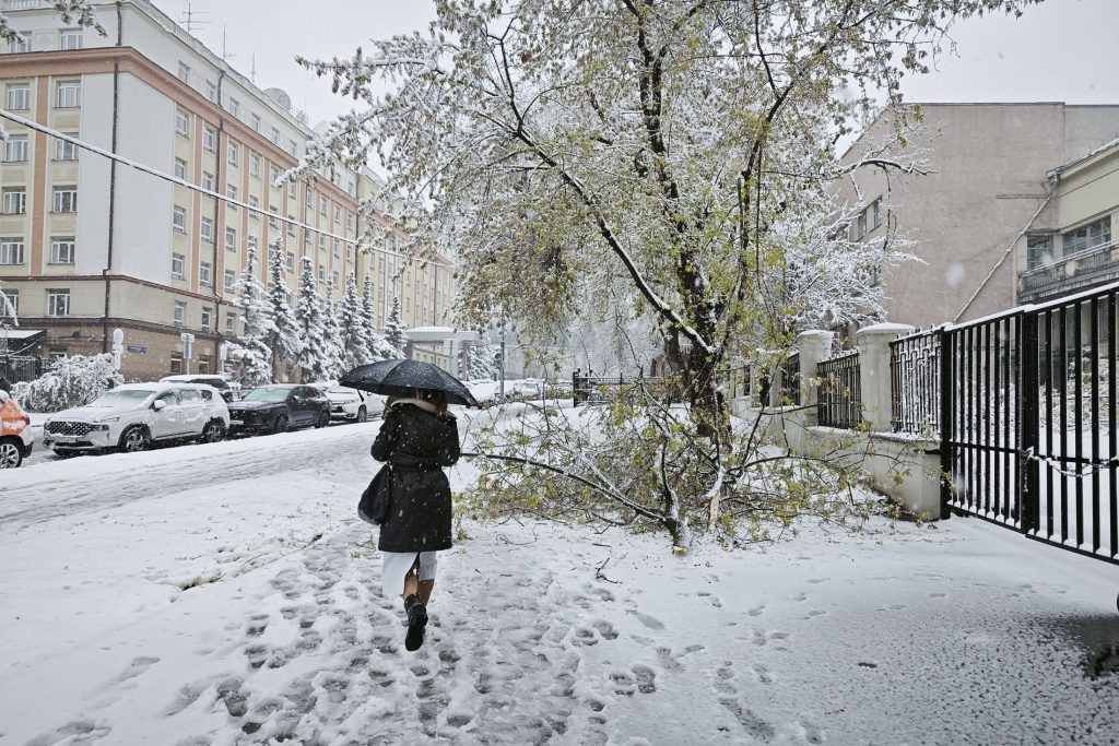 Минсельхоз не увидел угроз урожаю в весенних заморозках