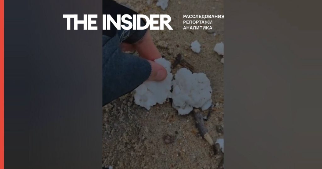 Волонтеры очищают побережье и спасают птиц после добавления пальмового масла к мазуту — The Insider