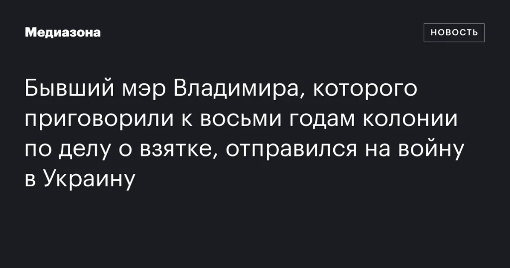 Бывший мэр Владимира, осужденный на восемь лет за взятку, отправился на войну в Украину