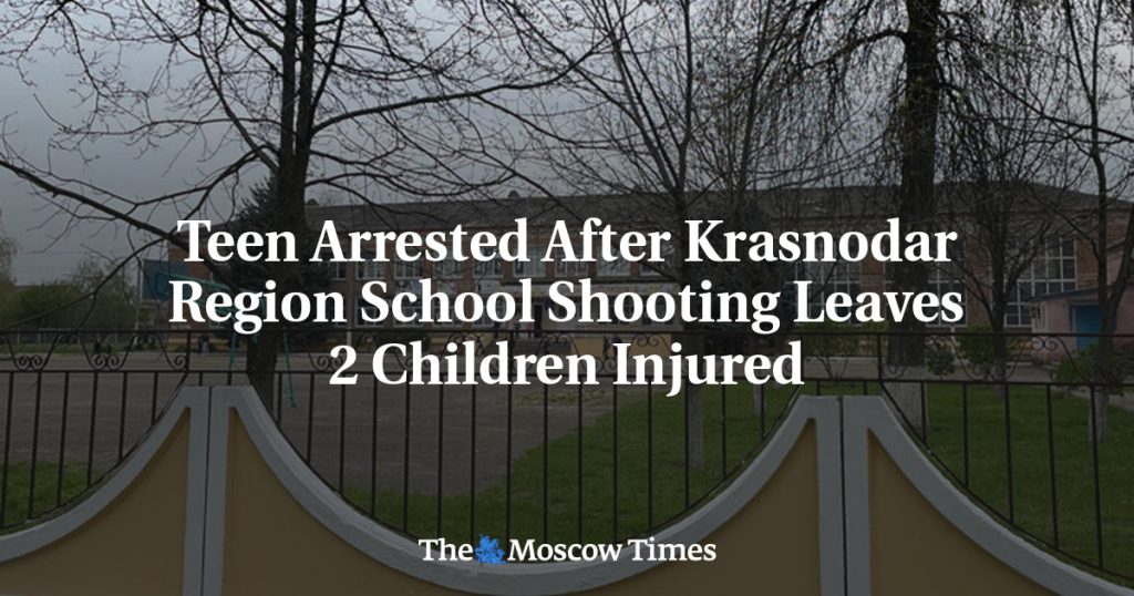 Подросток арестован после стрельбы в школе Краснодарского края, в результате которой двое детей получили ранения