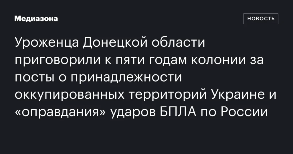Жителя Донецкой области осудили на пять лет колонии за публикации о возвращении оккупированных территорий Украине и «оправдание» ударов дронов по России